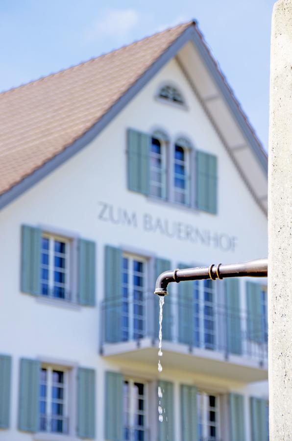 Gasthaus Zum Bauernhof Oberlunkhofen エクステリア 写真